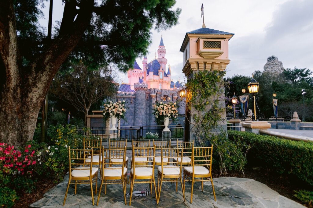 New Disneyland venues