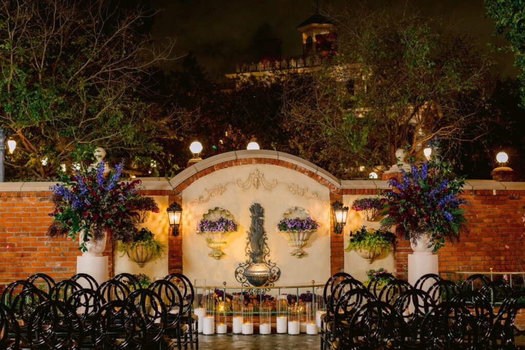 New Disneyland venues
